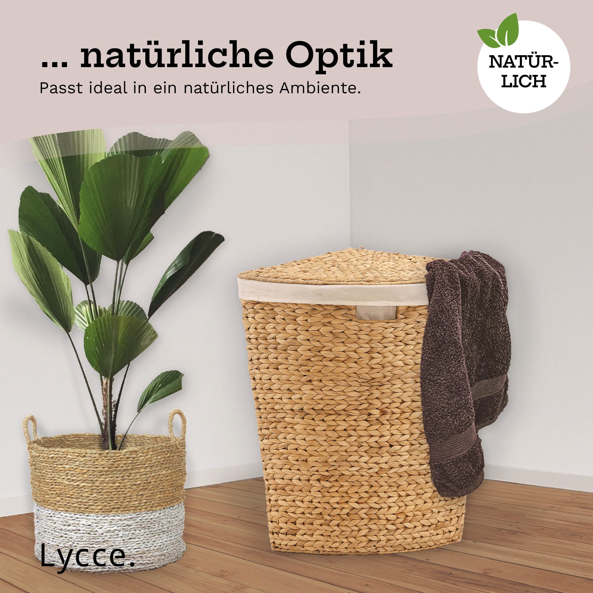 lycce-w-schekorb-ecke-ecktruhe-gr-3-b58xt42xh63-cm-wasserhyazinthe image 8