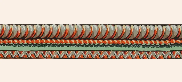 hembus-borte-4030-muschelband-tapetenborte image 1